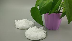 某填充母料廠家通過行業(yè)年會與賽諾新材達(dá)成長期合作