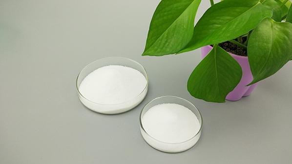 除了提供優(yōu)質(zhì)聚乙烯蠟，賽諾新材更注重服務(wù)